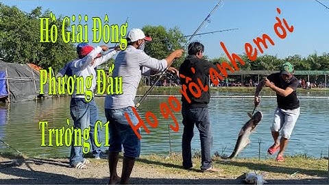 fishing Câu Cá Tra Giải Hồ Đông Phương.(Cám Chuyên Tra T1 đồng hành mọi đấu Trường)