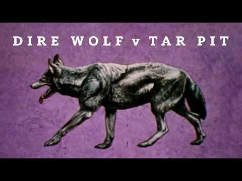 New Evidence in Ice Age Mystery I Dire Wolf v Tar Pit Documentary