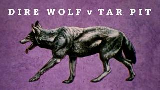 New Evidence in Ice Age Mystery I Dire Wolf v Tar Pit Documentary