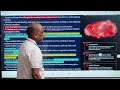 MULTIGENE FAMILIES, EXONS, INTRONS, RNA SPLICING, Biology by Harcharan Sir live