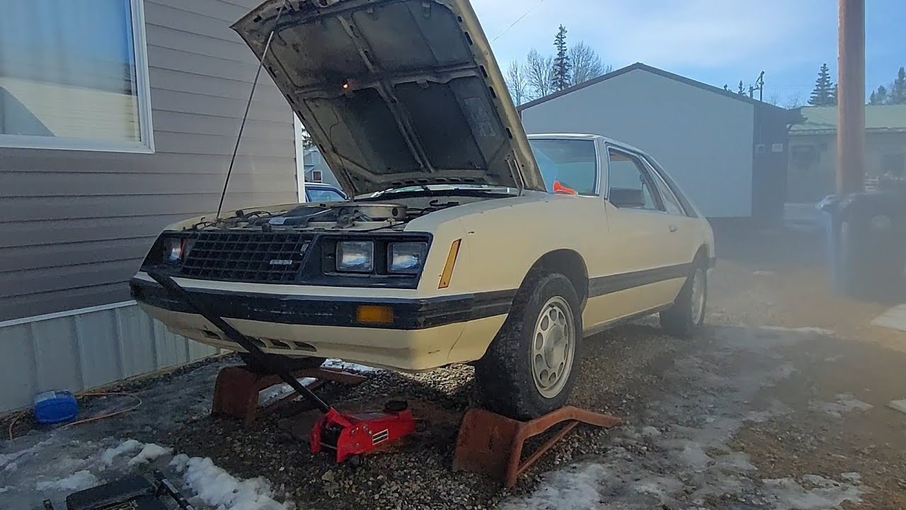 An oil change, 3 cold starts, and 3 awesome classic fords.
