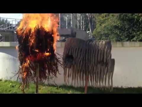 Fire test #