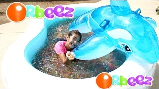 Orbeez Pool and Dolphin Summer Water Fun Play!! B2cutecupcakes