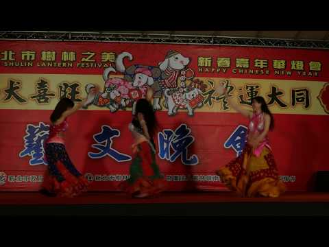 2018新北市樹林之美新春嘉年華燈會