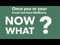 Avera health plans  medicare 101