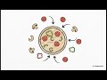 Design Patterns