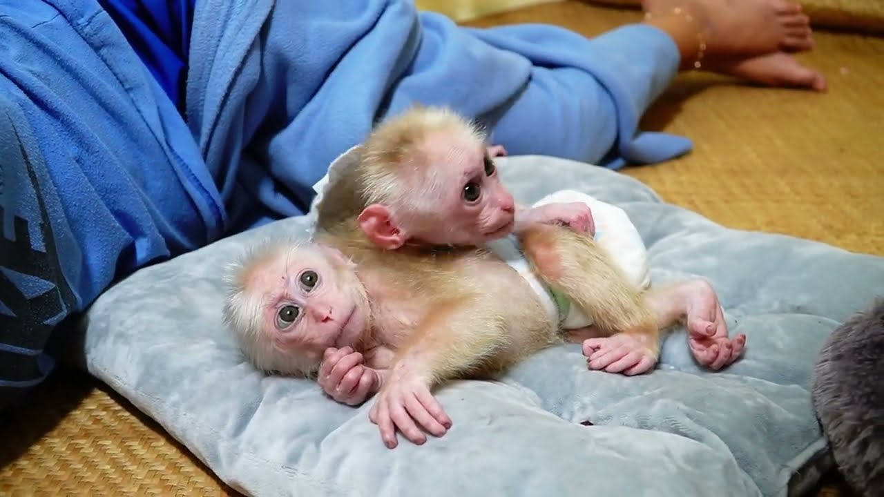 Why Today PLOY Don't Want Sleep He Teaching JOOY Playing Until Time 01:00AM