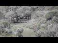 家族の風景(Down  by  the  salley  garden)  歌詞.手嶌葵   曲.アイルランド民謡.歌.松原達夫