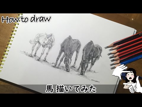 友人が書いた馬の頭部の色鉛筆イラスト 友人が書いた馬の頭部の色鉛筆イラスト 馬の色鉛筆画を描いて