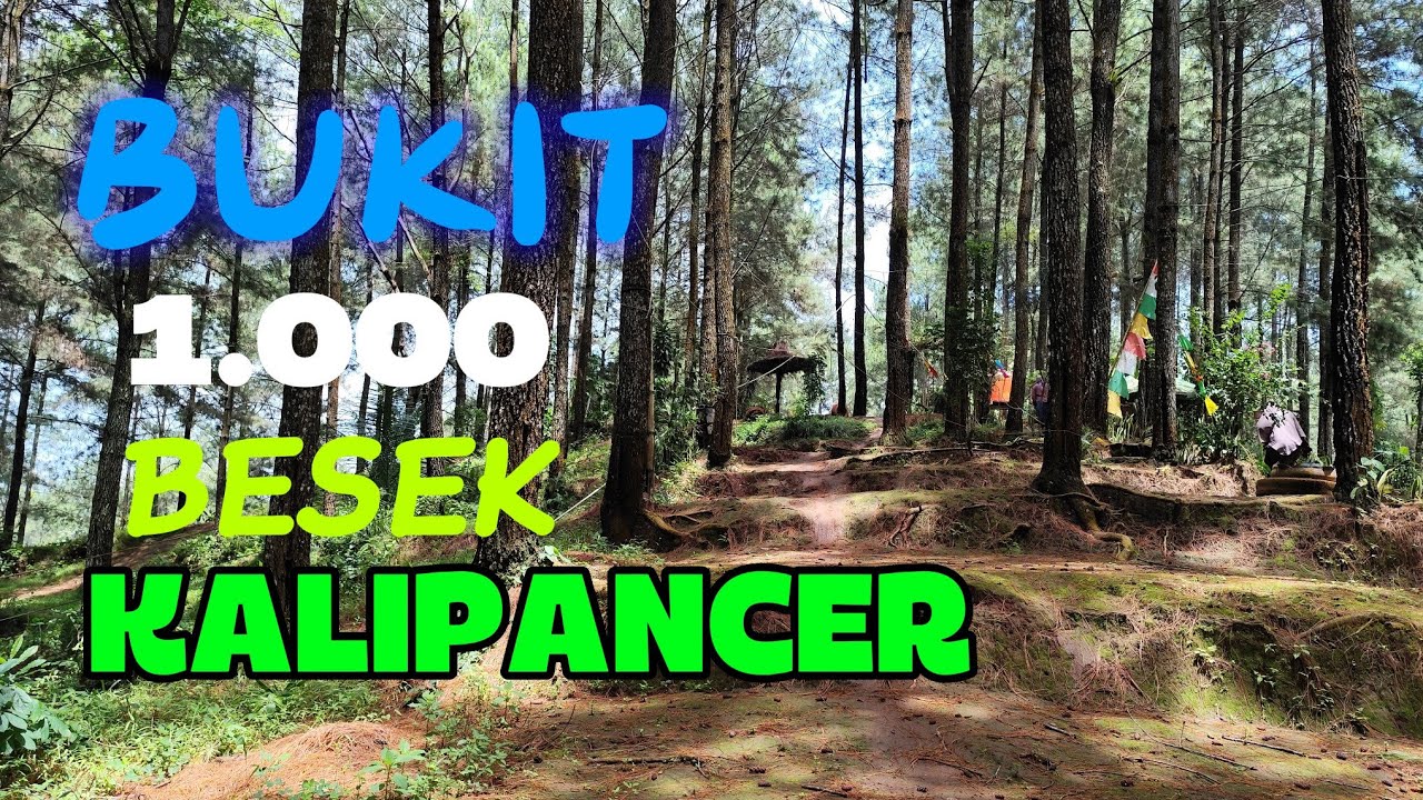 BUKIT 1000 BESEK KALIPANCER 03 Maret 2026@WONGBANTEN86 @Sudebyokarnaval