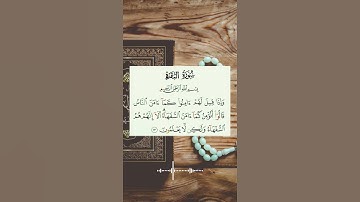 و إذا قيل لهم آمنو كما آمن الناس بصوت خاشع #القرآن_الكريم #راحة_نفسية #quran #تلاوات #ماهر_المعيقلي