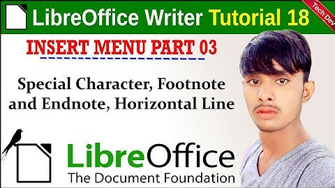LibreOffice Writer tutorial 18 insert menu part 3 sub command || in hindi || by dev bind || techdev