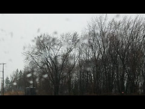 bnsf 5729 Live Norfolk Southern Train