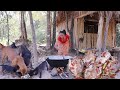 Survival cooking in forest: Catch fish in River for food- Cooking fish braised spicy for lunch ideas