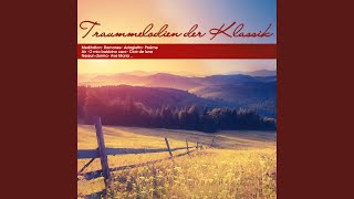 Poeme in D-Flat Major, Op.39a (Arr. for String Orchestra)