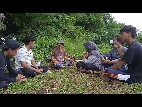 Kale Atau Kailan