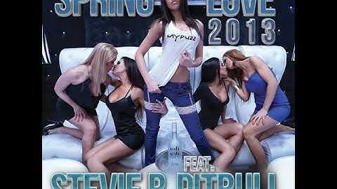 Thumbnail of Spring Love 2013 (Marc van Damme & Nick Otronic Remix Edit)