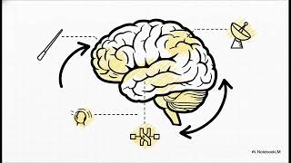 Celebrity The Central Executive: Inside the Brain's Command Center Wealth