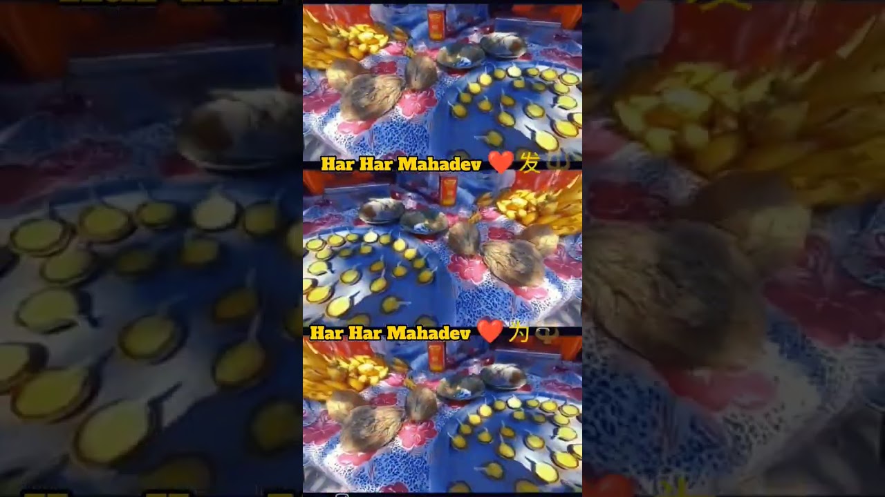 Har Har Mahadev ❤️🕉️🔱 
