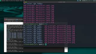 Complex File Movement with Bash (Comment Answers)