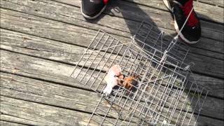 Fishing And Crabbing At Jones Beach W Angler Man