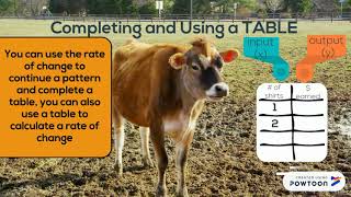 U2L2: COMPARING FUNCTIONS