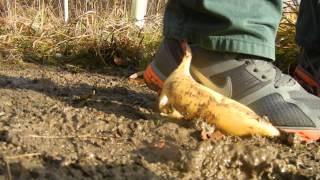 Nike Lunarglide Stomp Banana In Mud