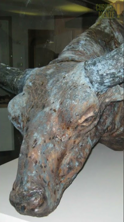 Coisas bizarras achadas debaixo do gelo part. 3🔎🧊😳 #short #curiosidades #shorts #shortvideo