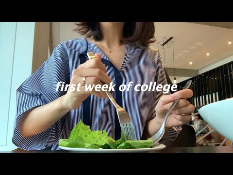 <strong>eng</strong>) <strong>중국</strong> 대학교 개강 브이로그ㅣ4학년이 웃겨?!ㅣ조별과제 잔혹사ㅣ팽이버섯 덮밥, 느타리버섯 두루치기