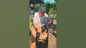 How to Sharpen a Scythe with a File — Step-by-Step Guide for Beginners