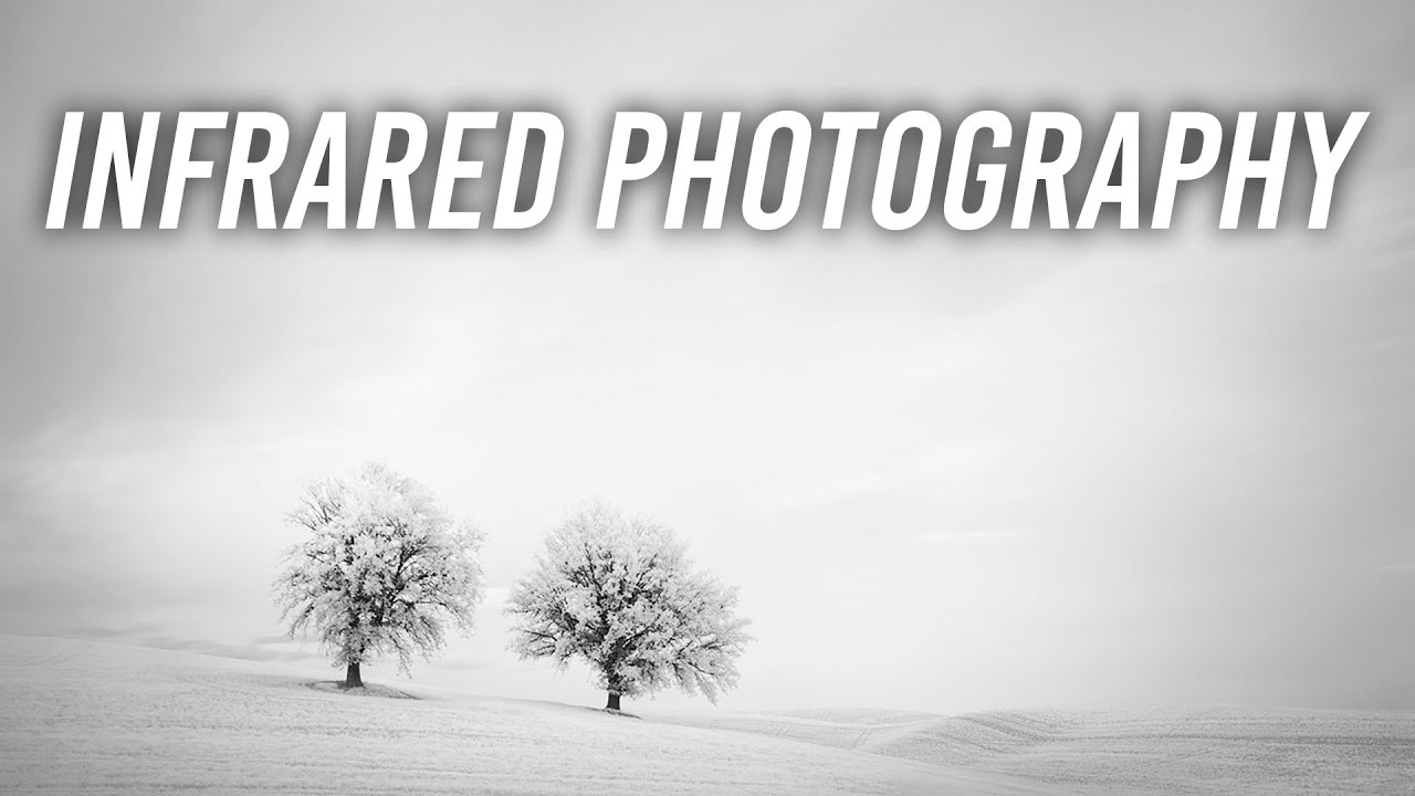 Infrared Photography: A Conceptual and Technical Approach