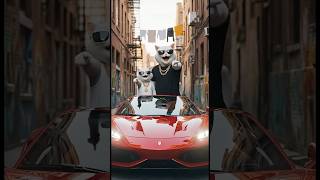 Rich Cats Laughed At His Pumpkin Car Big Mistake