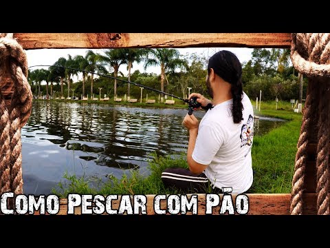 Vídeo: Como Pescar Pão