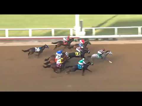 6  07  2025           6