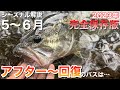 【バス釣り徹底解説】これに気を配ると、これからの季節のバスが釣りやすくなります!! 【水の旅＃ ２０６】