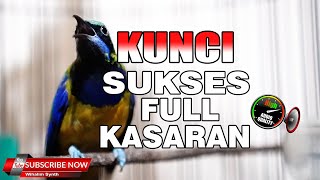 CUCAK CUNGKOK SPESIAL FULL ISIAN KASAR KUNCI SUKSES MASTERAN MURAI  BATU DAN CUCAK IJO KEKINIAN