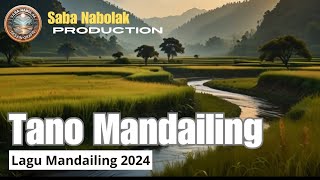 Download Lagu Lagu Mandailing Terbaru 2024 (Tano Mandailing) MP3