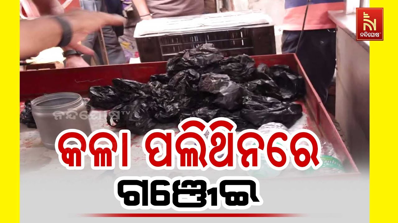 କଳା ପଲିଥିନ ଭିତରେ ଅଛି ଗଞ୍ଜେଇ, ଗୋଟେ ପୁଡିଆ ୧୫୦ ଟଙ୍କାରେ ହେଉଥିଲା ବିକ୍ରି