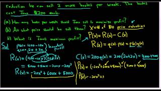 Calculus Optimization Maximum Profit with Price Reductions