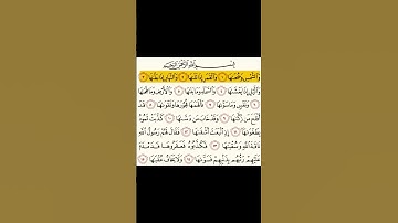 محمد ايوب جزء من سورة الشمس