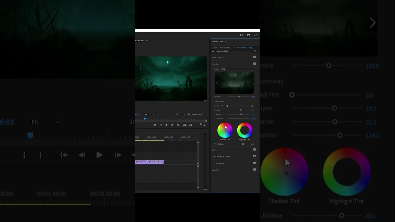 Mastering Color Grading in Premiere Pro: Tips and Techniques for Stunning Visuals"
