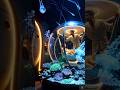 Abandoned Submarine Transformed into a Luxury Underwater Hotel! #amazing
