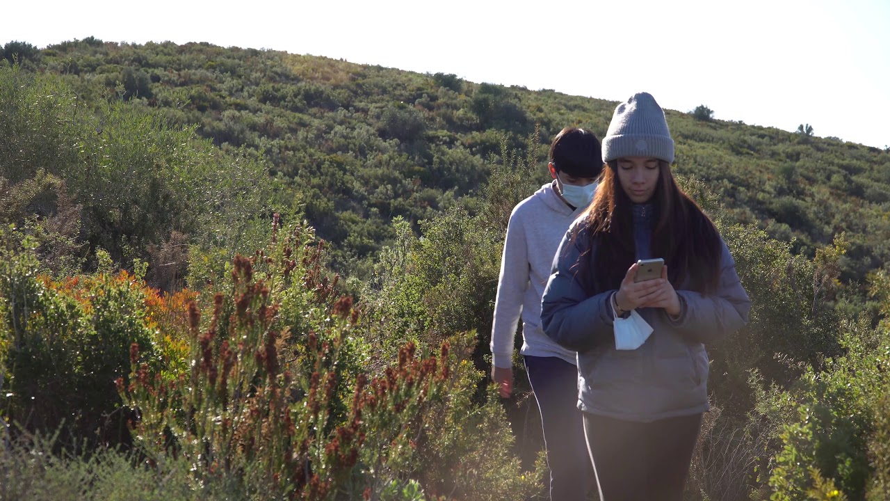 Sony a6300 & 18-105mm lens perfect travel camera /4K video