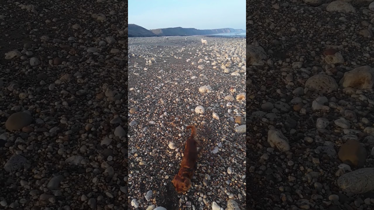 New year walk - YouTube