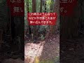 速報⚠️この動画に出会ったらなぜか大きな臨時収入が入ります。#shorts