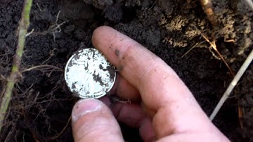 Metal Detecting with Minelab E-TRAC #1 Silver finds from the woods