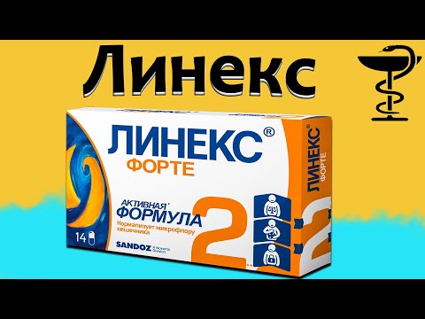 Video: Linex жүк ташуучу керебеттин баасы канча турат?