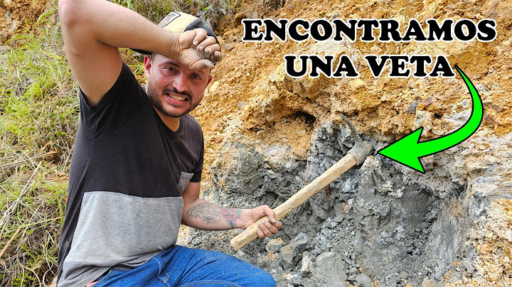¿𝗖𝗼́𝗺𝗼 𝗲𝗻𝗰𝗼𝗻𝘁𝗿𝗮𝗿 𝘂𝗻𝗮 𝘃𝗲𝘁𝗮 𝗱𝗲 𝘀𝘂𝗹𝗳𝘂́𝗿𝗼𝘀❓