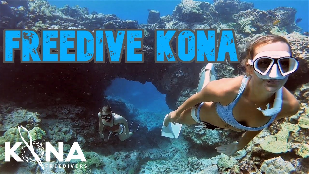 Best Freediving in Hawai'i Sea Turtles, Dolphins, & Manta Rays Kona