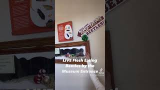 Things That Just Make Sense At Skeletons Museum Of Osteology